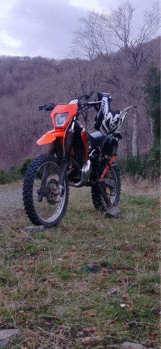 Despiece Beta RRT 74cc (2001)