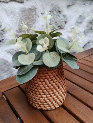 Maceta de Mimbre con Planta