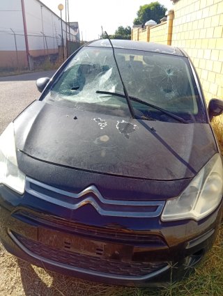 Despiece Citroën C3