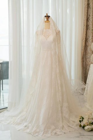 Vestido de Novia y Velo Pronovias