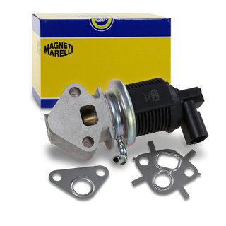 CON TARA - Valvola EGR Magneti Marelli 571822112013 VW Audi
