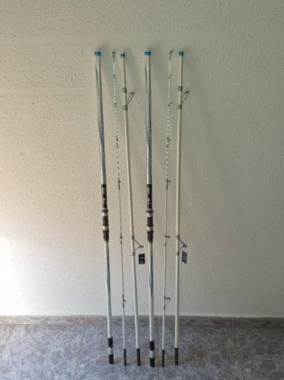 Pareja  Kali Kunnan LITHIUM Hybrid