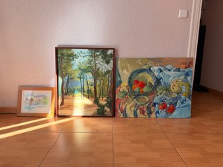 Set de 3 preciosos cuadros para dar vida a la casa