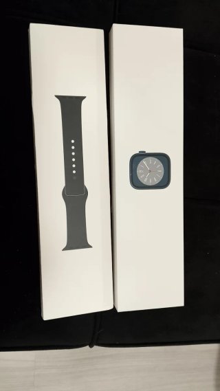 Apple Watch Series 8