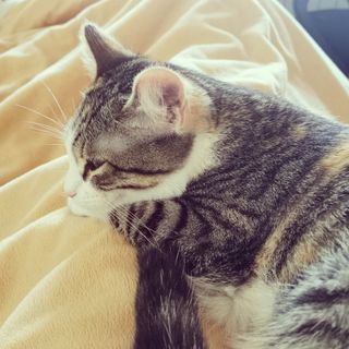 Foto de perfil de Maria M.