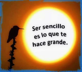 ismael  R.