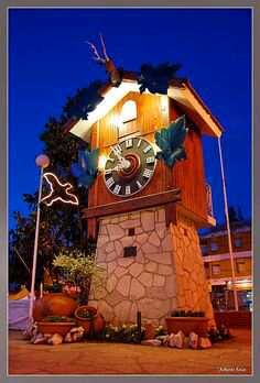 Pajaro Cucu Carlos Que Es Un Reloj Cucu Villa Carlos Paz Cordoba