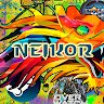 Neikor N.